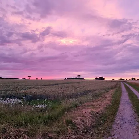Lovely Near * Svaneke